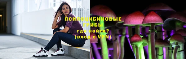 спиды Осташков