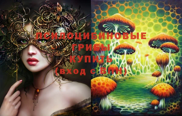 спиды Осташков